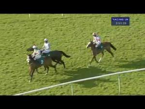 Video preview image for Warwick 14:50 - EBF Stallions/Tba Mares' Novices' Limited Handicap Chase