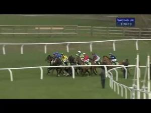 Video preview image for Cheltenham 15:20 - Stan James Champion Hurdle Challenge Trophy (Grade 1)