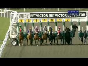 Video preview image for Kempton Park 14:20 - Turftv Handicap