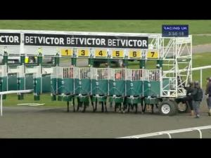 Video preview image for Kempton Park 15:50 - betvictor.com Handicap