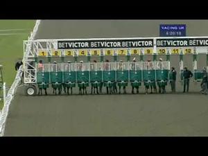 Video preview image for Kempton Park 16:20 - 25 Free Bet At betvictor.com Handicap