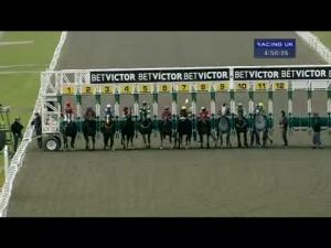 Video preview image for Kempton Park 16:50 - Download The BetVictor App Now Handicap
