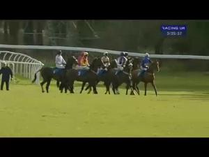 Video preview image for Exeter 15:35 - Rockwool Multi Fix Novices' Chase
