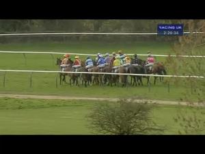Video preview image for Warwick 14:20 - Mhm One Call Maiden Hurdle