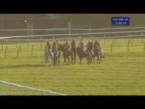 Video preview image for Warwick 17:30 - Executive Hire Show Standard Open NH Flat Race