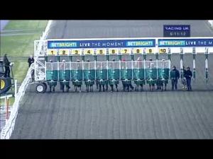 Video preview image for Kempton Park 18:10 - Goffs London Sale - Kempton-breeze/Kensington-sale Handicap (Div 1)