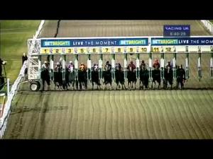 Video preview image for Kempton Park 18:40 - Goffs London Sale - Kempton-breeze/Kensington-sale Handicap (Div 2)
