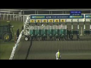 Video preview image for Kempton Park 20:10 - Betbright - Live The Moment Handicap (Bobis Race)