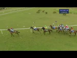 Video preview image for Ludlow 15:30 - Bromfield Novices' Limited Handicap Chase