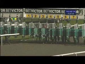 Video preview image for Kempton Park 20:25 - Follow Betvictorracing On Twitter Handicap (London Middle Distance Series Qualifier) (Bobis Race)