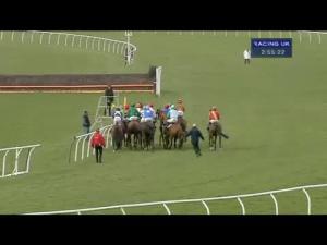 Video preview image for Newbury 14:55 - EBF Stallions & Tba Mares' 'National Hunt' Novices' Hurdle Finale (Listed Limited Handicap)