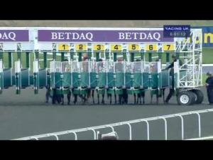 Video preview image for Kempton Park 18:00 - Happy 80th Birthday Ray Hall Handicap