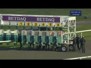 Video preview image for Kempton Park 18:35 - Betdaq Free 25 Bet No Lose Handicap
