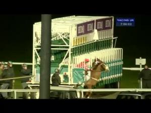 Video preview image for Kempton Park 19:05 - Family Fun At Kempton On 19.04.14 Handicap