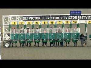 Video preview image for Kempton Park 16:30 - 6 Places At Aintree At betvictor.com Handicap