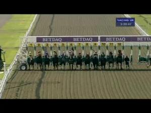 Video preview image for Kempton Park 17:20 - New Jump Fixture On 05.05.14 Handicap