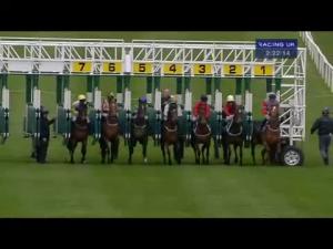 Video preview image for Catterick Bridge 14:20 - Welcome To Catterick's Flat Season 2014 Handicap