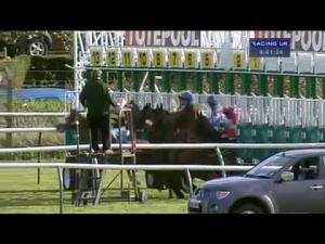 Video preview image for Nottingham 16:40 - Totetrifecta Available On All Races Handicap