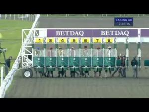 Video preview image for Kempton Park 19:30 - Betdaq 3% Commission Handicap