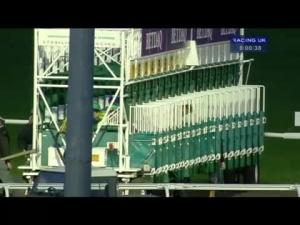 Video preview image for Kempton Park 20:00 - Betdaq - The Sports Betting Exchange Handicap