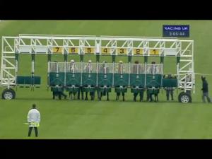 Video preview image for Newbury 15:05 - Dubai Duty Free Golf World Cup EBF Stallions Conditions Stakes (Bobis Race)