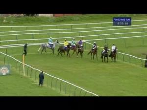 Video preview image for Ayr 16:25 - Porcelanosa Scotland Novices' Limited Handicap Chase