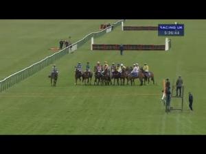 Video preview image for Ayr 17:25 - Newton Arms Bistro Handicap Hurdle