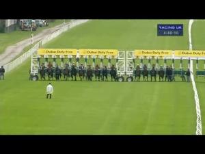 Video preview image for Newbury 16:40 - Dubai Duty Free Millennium Millionaire Handicap