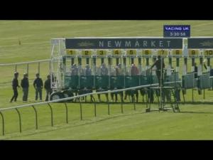 Video preview image for Newmarket 15:30 - Csp European Free Handicap (Listed)