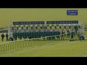 Video preview image for Newmarket 16:40 - Ebm-Papst Feilden Stakes (Listed)