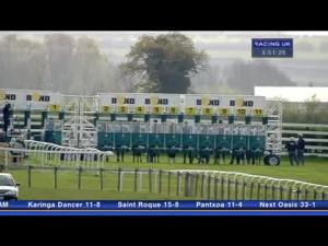 Video preview image for Beverley 16:50 - Sell Racehorses Online At Racehorsetrader Handicap (Bobis Race)