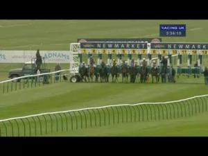 Video preview image for Newmarket 15:30 - Connaught Access Flooring Abernant Stakes (Group 3)