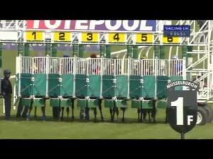 Video preview image for Musselburgh 16:05 - Tote tentofollow.com Enter Now EBF Stallions Maiden Stakes