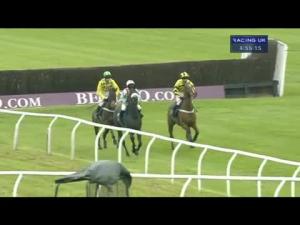 Video preview image for Huntingdon 16:55 - Boongate Kia 7 Year Warranty Novices' Chase
