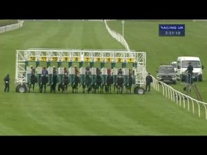 Video preview image for Catterick Bridge 14:30 - 2014 Catterick Twelve Furlong Series Handicap (Qualifier)