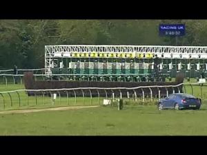Video preview image for Warwick 15:40 - rewards4racing.com Maiden Stakes (Div 1)
