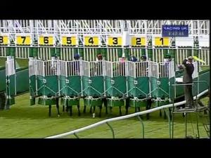 Video preview image for Warwick 16:40 - Racing UK Handicap