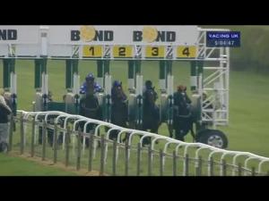 Video preview image for Beverley 17:00 - Beverley Folk Festival Here In June Maiden Stakes