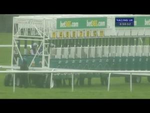 Video preview image for Sandown Park 16:55 - Bet365 Handicap (Bobis Race)