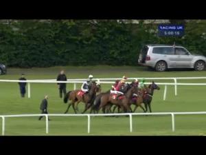 Video preview image for Sandown Park 17:00 - Bet365 Josh Gifford Novices' Handicap Chase