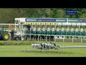 Video preview image for Kempton Park 14:15 - betbright.com Maiden Fillies' Stakes (Bobis Race)