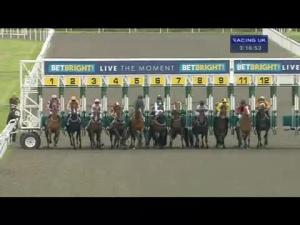 Video preview image for Kempton Park 15:15 - Mix Business With Pleasure At Kempton Handicap