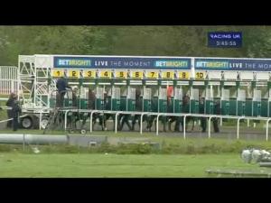 Video preview image for Kempton Park 15:45 - Betbright - Live The Moment Maiden Fillies' Stakes (Div 1)