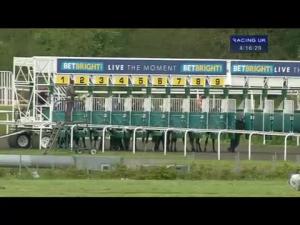 Video preview image for Kempton Park 16:15 - Betbright - Live The Moment Maiden Fillies' Stakes (Div 2)