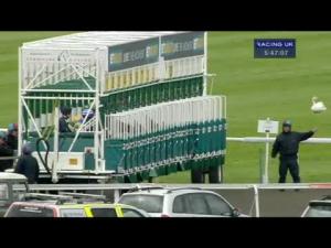Video preview image for Kempton Park 17:45 - Mascot Grand National Transferred To Epsom Handicap