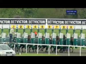 Video preview image for Kempton Park 16:40 - Follow Betvictorracing On Twitter Handicap