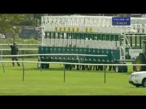 Video preview image for Nottingham 14:15 - Roa Owners Jackpot Handicap