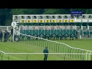 Video preview image for Nottingham 17:25 - Bdn Construction Handicap