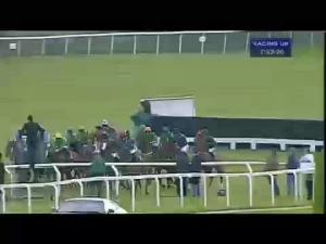 Video preview image for Cheltenham 19:50 - Thank You Gareth Evans Open Hunters' Chase