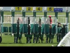 Video preview image for Musselburgh 13:55 - British Stallion Studs EBF Maiden Stakes (Bobis Race)